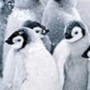 Meet your Posher, Mandy